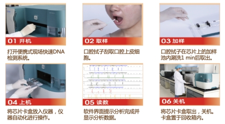 基于全集成微流控芯片的自動化法醫(yī)DNA檢測流程